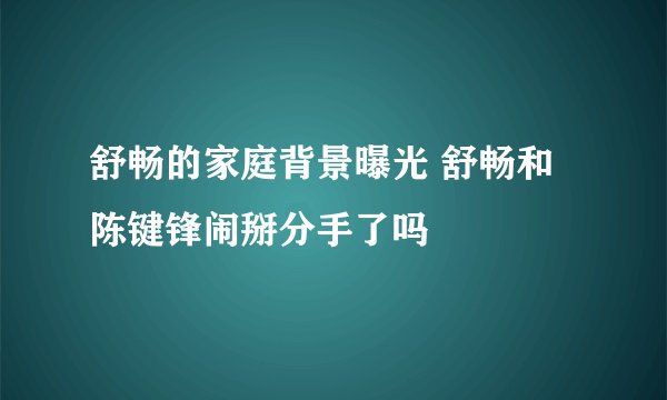 舒畅的家庭背景曝光 舒畅和陈键锋闹掰分手了吗