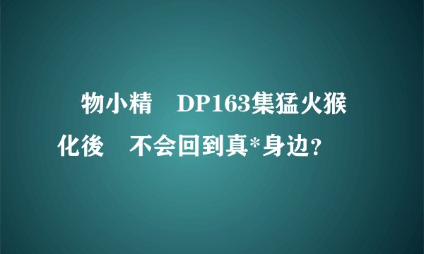 寵物小精靈DP163集猛火猴進化後會不会回到真*身边？