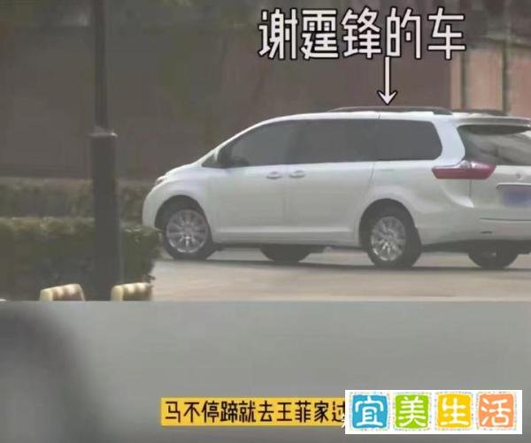 王菲力破“恋上小窦唯”传言，被曝和谢霆锋一起过夜，一起打疫苗