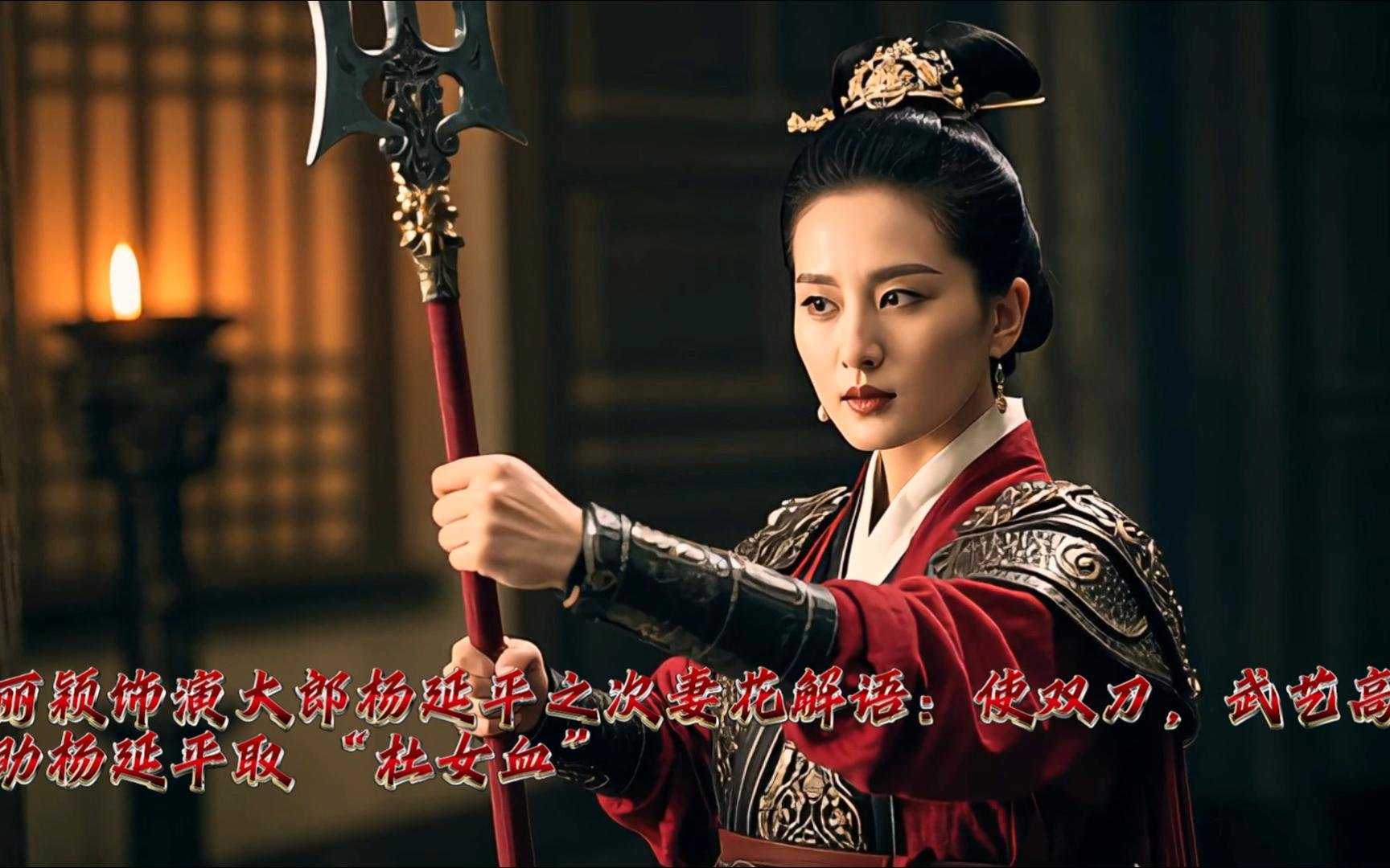 新少年杨门虎将主演