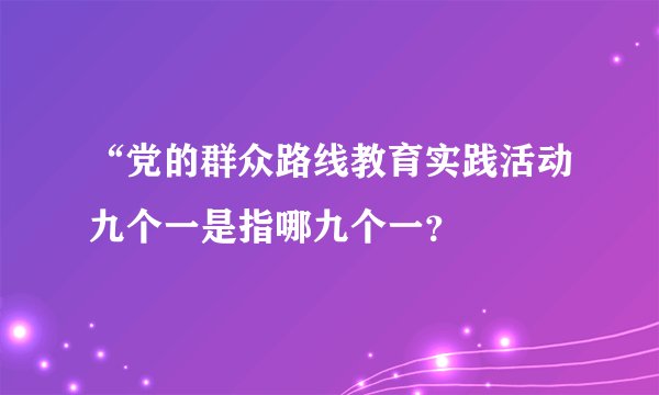 “党的群众路线教育实践活动九个一是指哪九个一？