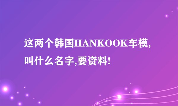 这两个韩国HANKOOK车模,叫什么名字,要资料!