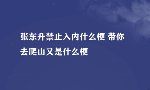 张东升禁止入内什么梗 带你去爬山又是什么梗
