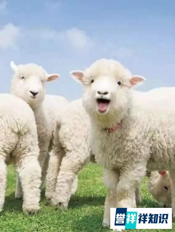 出轨篇（上）|从中金公司600万年薪合规总监出轨事件，看电话取证技巧