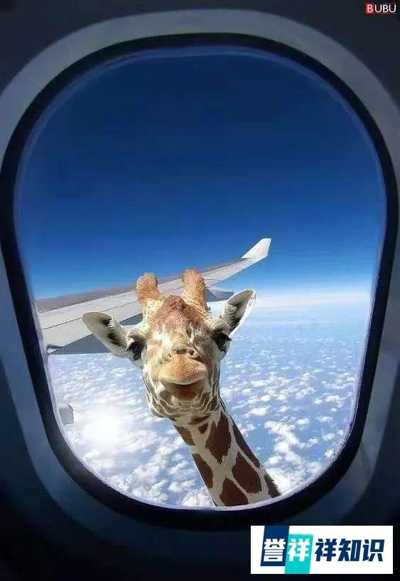 出轨篇（上）|从中金公司600万年薪合规总监出轨事件，看电话取证技巧