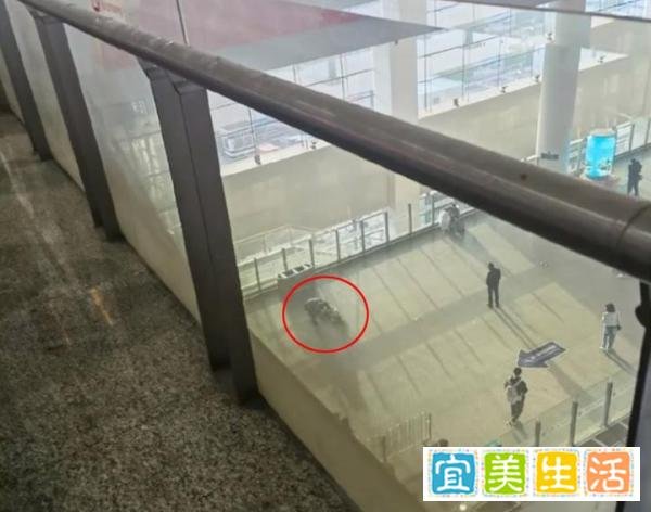 上海虹桥火车站一女子坠楼，医院：还在抢救