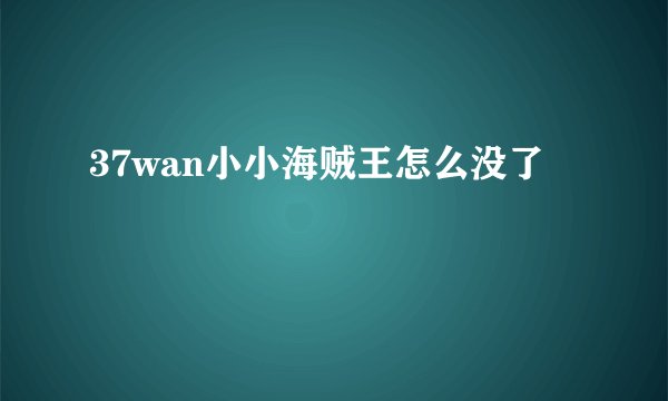 37wan小小海贼王怎么没了