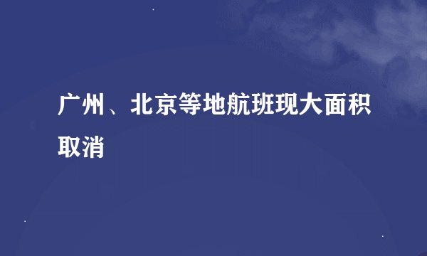 广州、北京等地航班现大面积取消