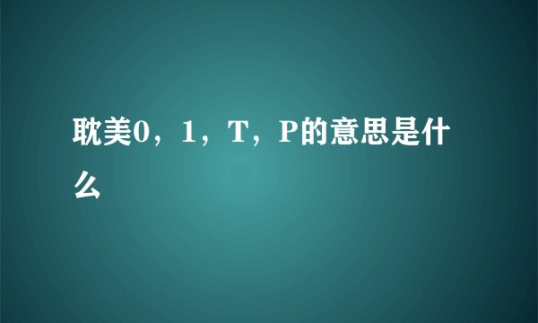 耽美0，1，T，P的意思是什么