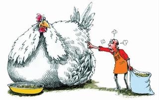 倾情巨献什么意思，倾情巨献的意思，倾情巨献近义词