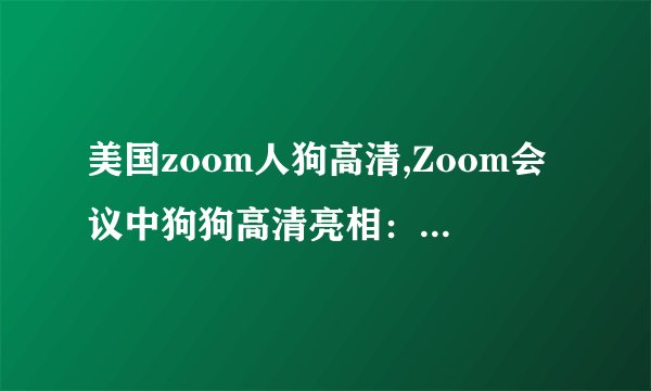 美国zoom人狗高清,Zoom会议中狗狗高清亮相：美国网友热议