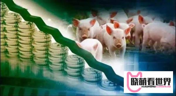 最新！猪肉终于要掉价！一头猪可赚1000元，有猪企今年已大赚10亿