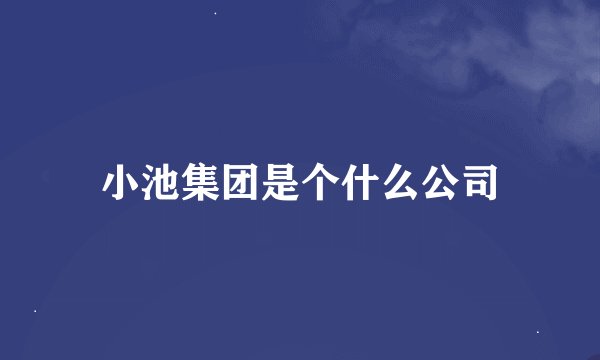 小池集团是个什么公司