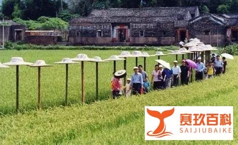 生态农业产业园规划方案