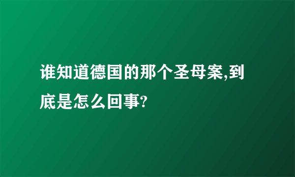谁知道德国的那个圣母案,到底是怎么回事?