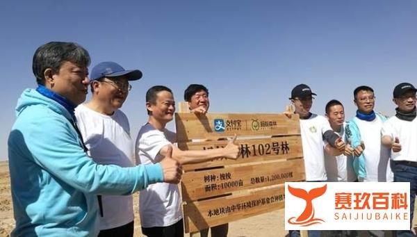 超6亿人参与，马云的蚂蚁森林曾被质疑“造假”，如今怎么样了？