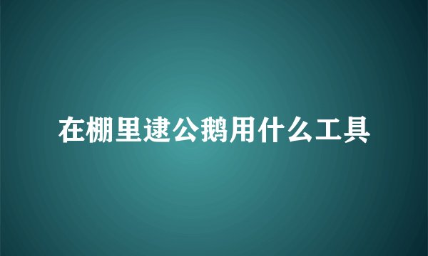 在棚里逮公鹅用什么工具