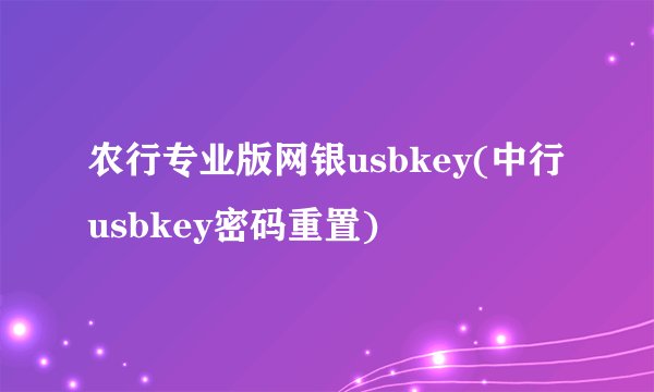 农行专业版网银usbkey(中行usbkey密码重置)