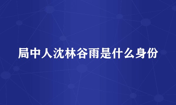局中人沈林谷雨是什么身份