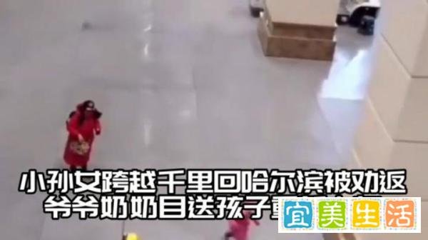 小孙女跨越千里回哈尔滨被劝返 这是咋情况？