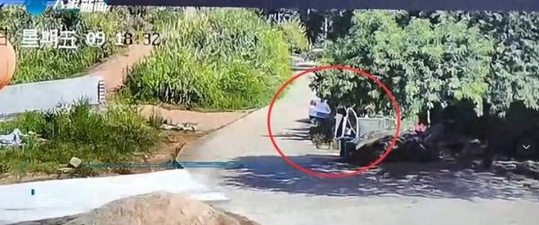 36岁女子驾车坠入水库致祖孙3人溺亡，家属：怪没护栏！