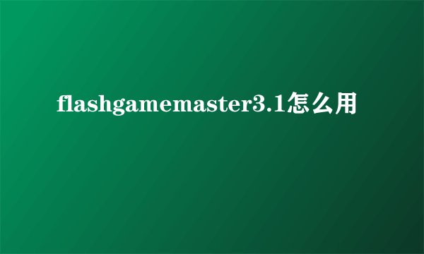 flashgamemaster3.1怎么用