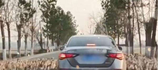 轿车被群鸭团团围住一动不敢动 这是咋情况？