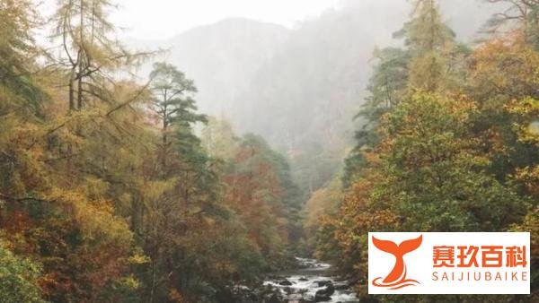 痛惜：31岁北大博士不幸坠崖身亡！官方回应