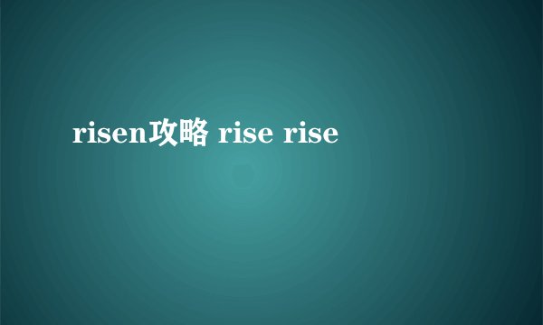 risen攻略 rise rise