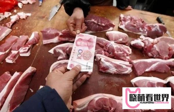 最新！猪肉终于要掉价！一头猪可赚1000元，有猪企今年已大赚10亿