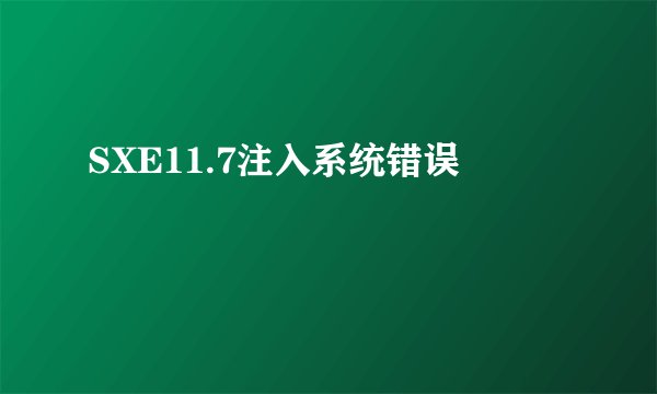 SXE11.7注入系统错误