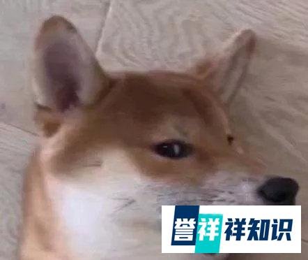 昆明成直辖市，大理成省会城市，到底是真是假？