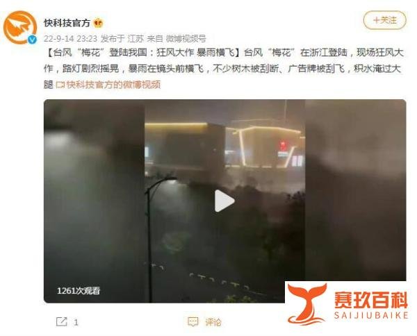 台风梅花登陆:狂风大作 暴雨横飞 这是咋情况？