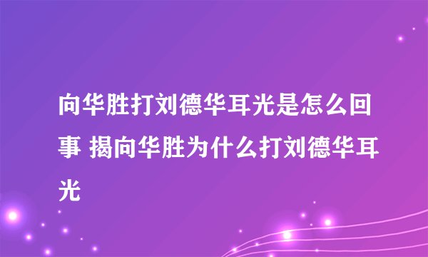 向华胜打刘德华耳光是怎么回事 揭向华胜为什么打刘德华耳光