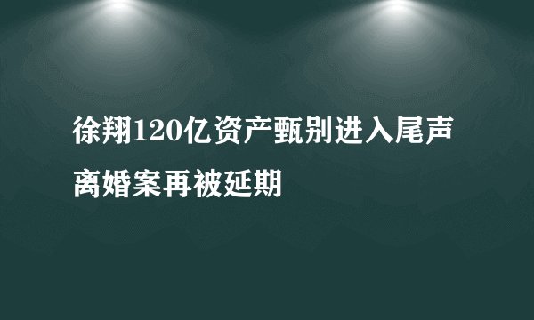 徐翔120亿资产甄别进入尾声 离婚案再被延期