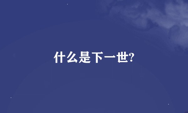 什么是下一世?