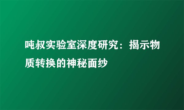 吨叔实验室深度研究：揭示物质转换的神秘面纱