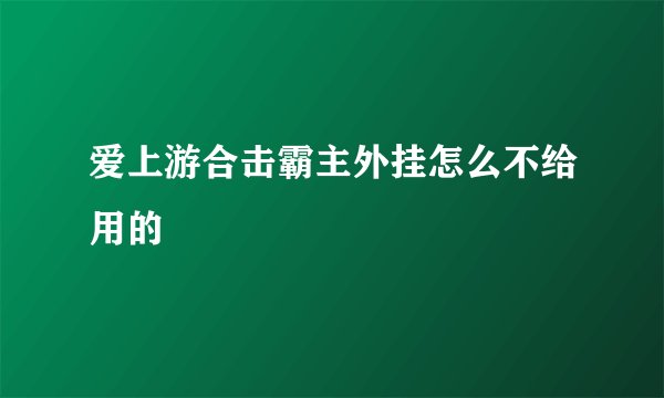 爱上游合击霸主外挂怎么不给用的