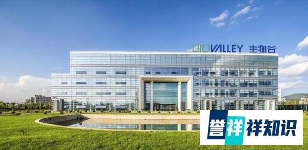 A股：“千金藤素”概念核心企业，仅这4家，谁是下一只新华制药？