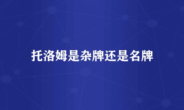 托洛姆是杂牌还是名牌