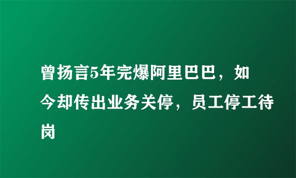 曾扬言5年完爆阿里巴巴，如今却传出业务关停，员工停工待岗