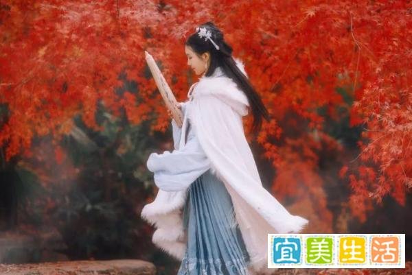 心有沉香，何惧浮世？