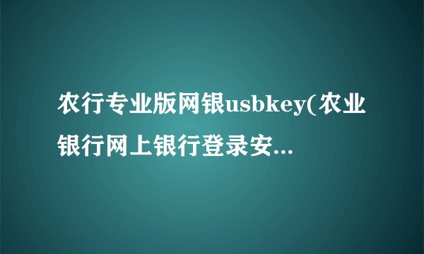 农行专业版网银usbkey(农业银行网上银行登录安全控件下载)
