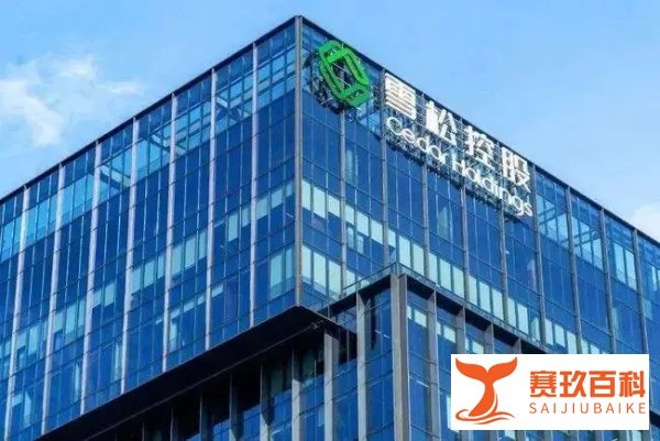 又爆雷？200亿理财产品逾期，世界500强公司总部遭围攻！