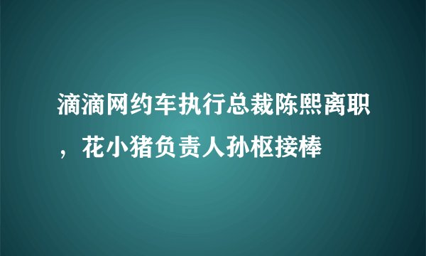 滴滴网约车执行总裁陈熙离职，花小猪负责人孙枢接棒