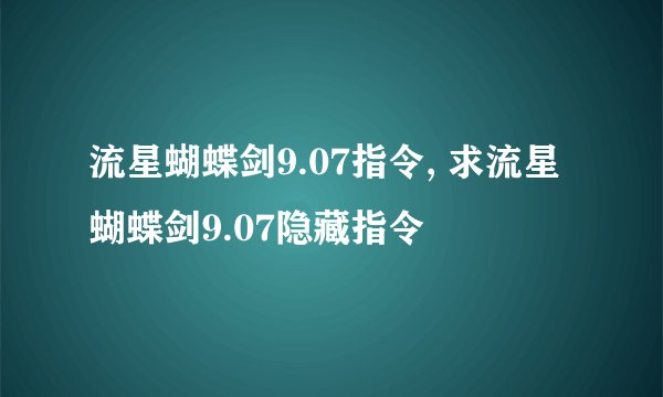 流星蝴蝶剑9.07指令, 求流星蝴蝶剑9.07隐藏指令