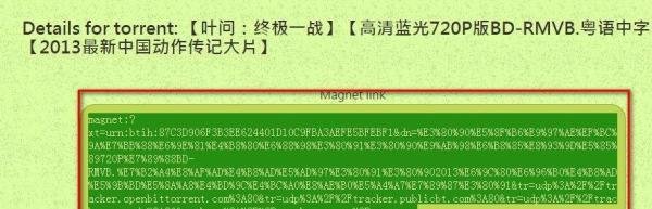 在torrentkitty找电影下载地址的实用技巧