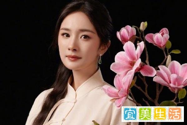 杨幂还有私生子？