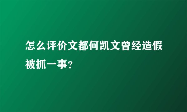 怎么评价文都何凯文曾经造假被抓一事？