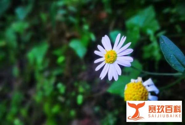 最新回应！360公司员工被伤，因借贷纠纷借款人拿起了水果刀？